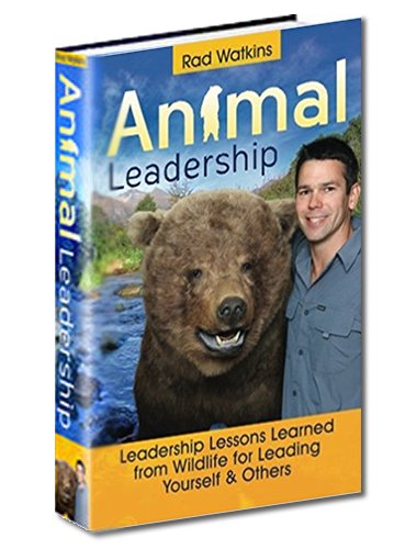 animal-leadership-cover-01